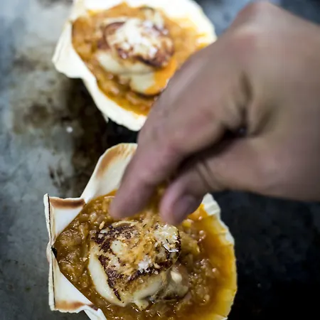 De 4* بونتيفيذرا